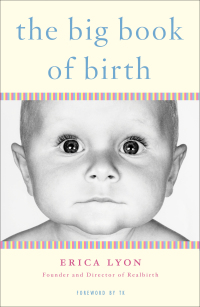 Cover image: The Big Book of Birth 9780452287686