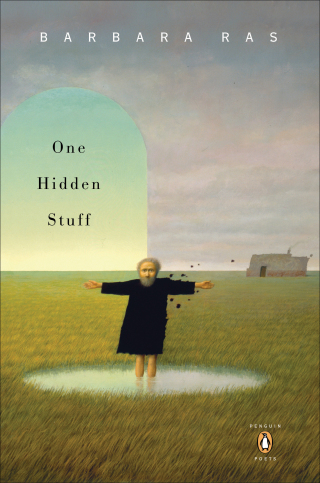 Cover image: One Hidden Stuff 9780143037859