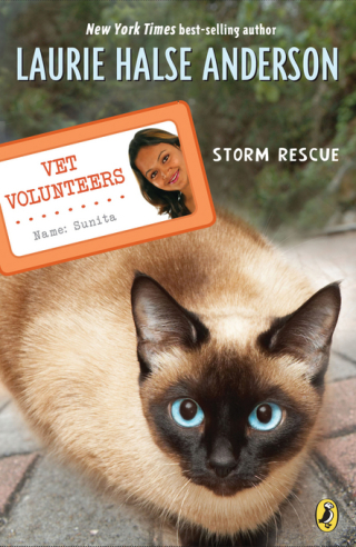 Cover image: Storm Rescue 9780142411018