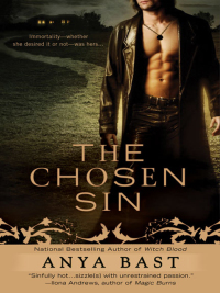 Cover image: The Chosen Sin 9780425223567