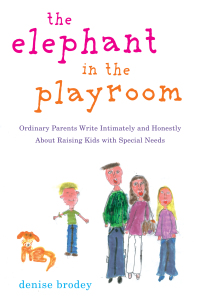 Cover image: The Elephant in the Playroom 9780452289086