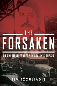 Cover image: The Forsaken 9781594201684
