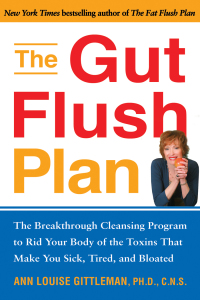 Cover image: The Gut Flush Plan 9781583333099
