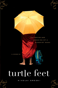 Cover image: Turtle Feet 9781594489846