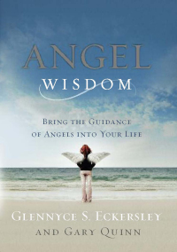 Cover image: Angel Wisdom 9781585427024