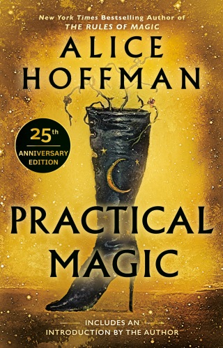 Cover image: Practical Magic 9780425190371