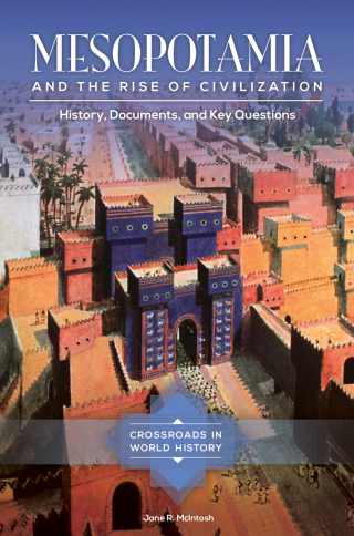 Cover image: Mesopotamia and the Rise of Civilization 1st edition 9781440835469