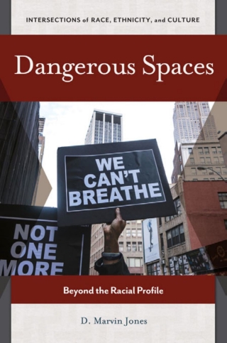 Cover image: Dangerous Spaces 1st edition 9781440838248