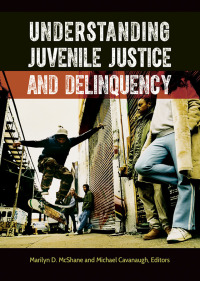 Cover image: Understanding Juvenile Justice and Delinquency 1st edition 9781440839627