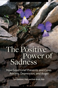 صورة الغلاف: The Positive Power of Sadness 1st edition 9781440854996