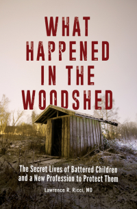 Cover image: What Happened in the Woodshed 1st edition 9781440856365