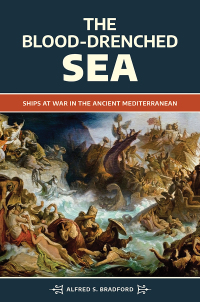 Titelbild: The Blood-Drenched Sea 1st edition 9781440871023