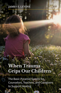 Imagen de portada: When Trauma Grips Our Children 1st edition 9781440874734