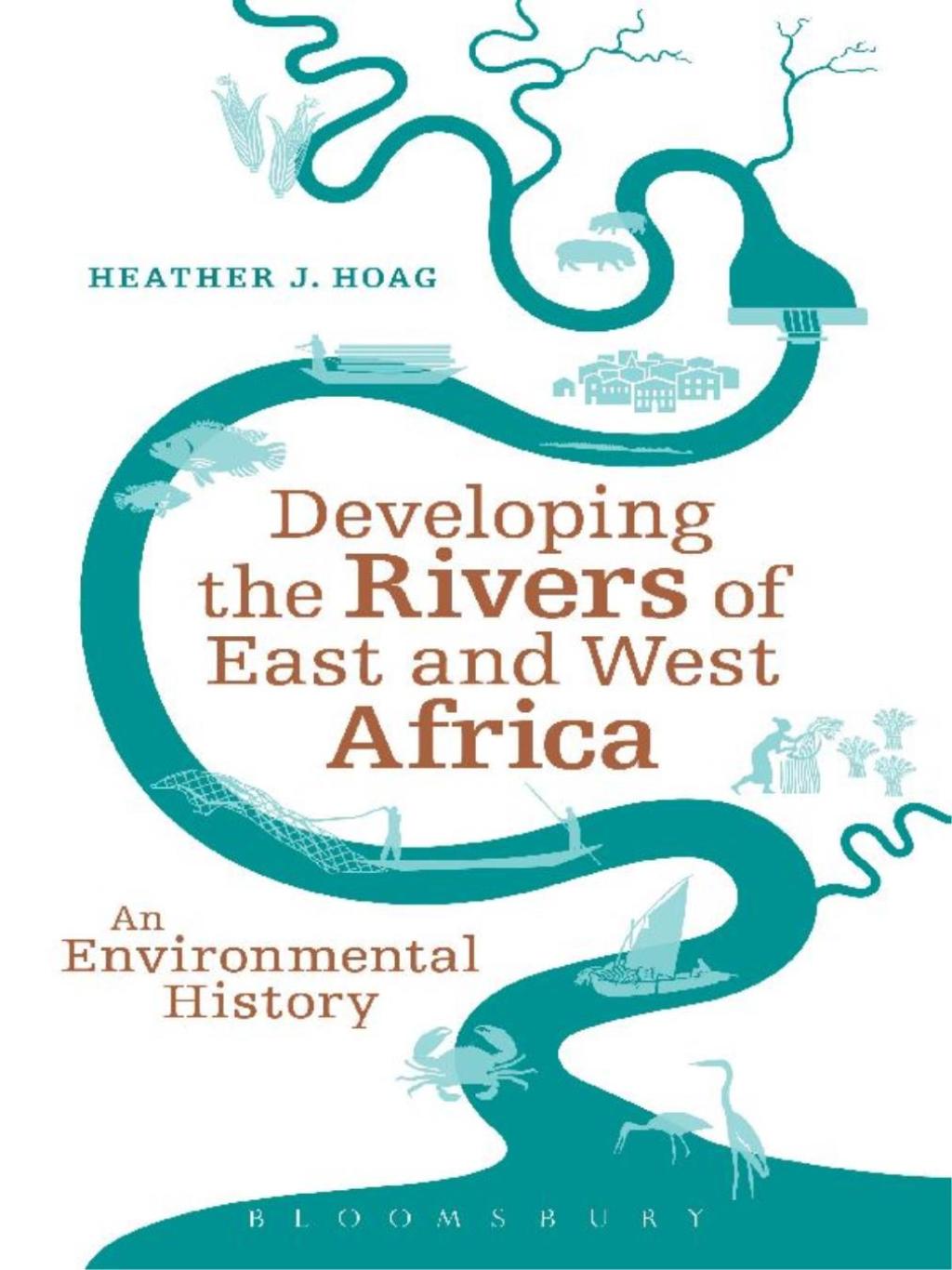 Developing the Rivers of East and West Africa An Environmental History 1st Edition