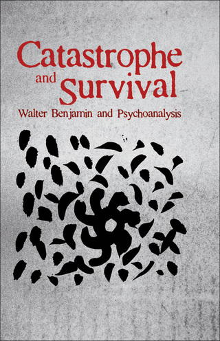 Cover image: Catastrophe and Survival: Walter Benjamin and Psychoanalysis 1st edition 9781441116833