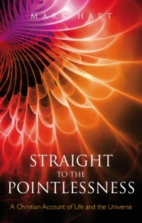 صورة الغلاف: Straight to the Pointlessness 1st edition 9781441163967