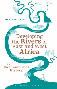 Omslagafbeelding: Developing the Rivers of East and West Africa 1st edition 9781441155405