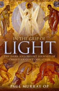 Cover image: In the Grip of Light 1st edition 9781441145505