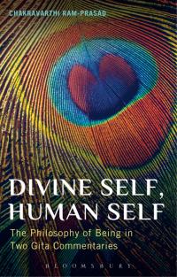 صورة الغلاف: Divine Self, Human Self 1st edition 9781441154644