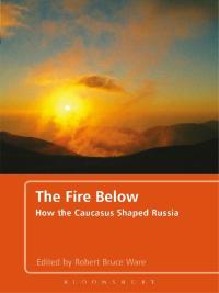 صورة الغلاف: The Fire Below 1st edition 9781441107930
