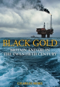 Cover image: Black Gold 1st edition 9781847250438