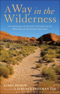 Cover image: A Way in the Wilderness 1st edition 9781441151155