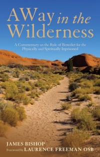 Immagine di copertina: A Way in the Wilderness 1st edition 9781441151155