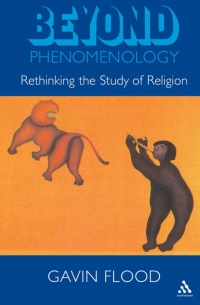 Imagen de portada: Beyond Phenomenology 1st edition 9780304701315