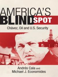Cover image: America's Blind Spot 1st edition 9781441186690