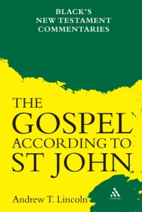 Omslagafbeelding: Gospel According to St John 1st edition 9780826471390