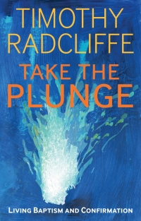 Cover image: Take the Plunge 1st edition 9781441118486