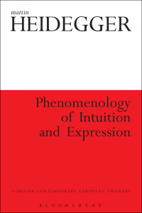 Imagen de portada: Phenomenology of Intuition and Expression 1st edition 9781847064431