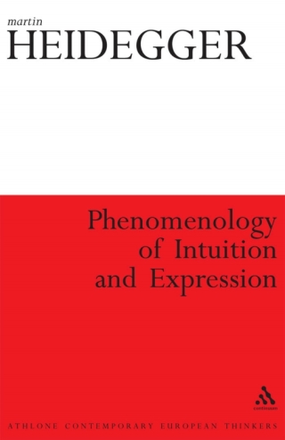 Cover image: Phenomenology of Intuition and Expression 1st edition 9781847064431