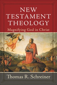 Cover image: New Testament Theology 9780801026805