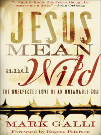 Cover image: Jesus Mean and Wild 9780801071577