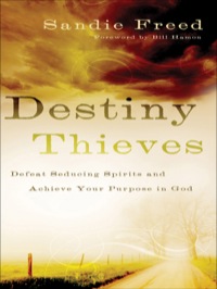 Cover image: Destiny Thieves 9780800794200