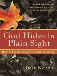 صورة الغلاف: God Hides in Plain Sight 9781587432330
