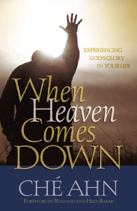Imagen de portada: When Heaven Comes Down 9780800794798