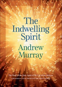 Imagen de portada: The Indwelling Spirit 9780764202278