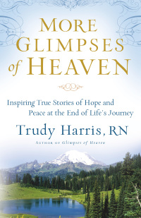 Cover image: More Glimpses of Heaven 9780800734404