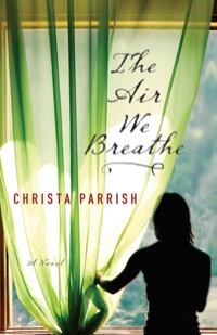 Cover image: The Air We Breathe 9780764205552