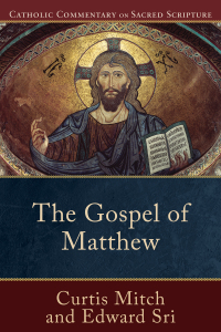 Imagen de portada: The Gospel of Matthew 9780801036026
