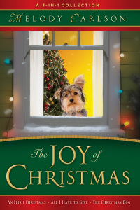 Cover image: The Joy of Christmas 9780800719753