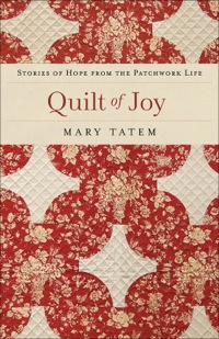Cover image: Quilt of Joy 9780800733643