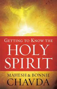 Imagen de portada: Getting to Know the Holy Spirit 9780800794712