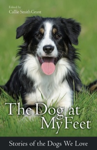 Cover image: The Dog at My Feet 9780800723095