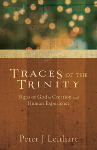Cover image: Traces of the Trinity 9781587433672