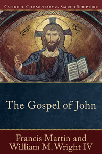 Imagen de portada: The Gospel of John 9780801036477