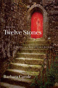 Cover image: Twelve Stones 9780801017582