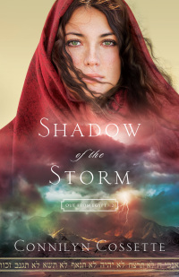 Cover image: Shadow of the Storm 9780764218217